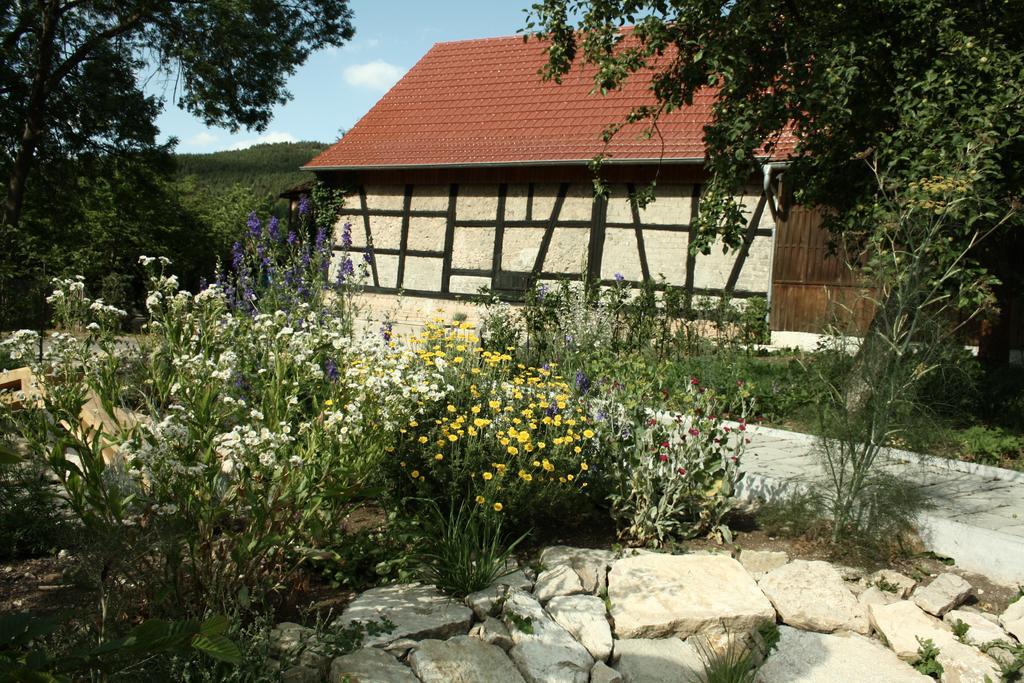 Cafe Landart Im Thueringer Finistere Apartment Plaue  Room photo